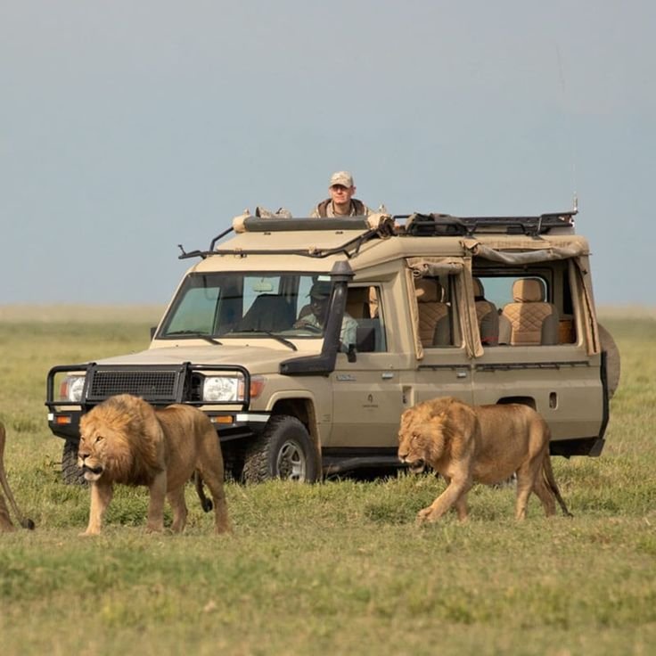 Serengeti Plains